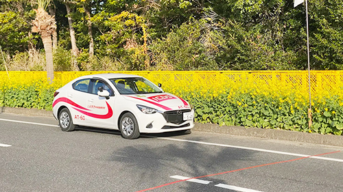 指宿中央自動車学校の教習車